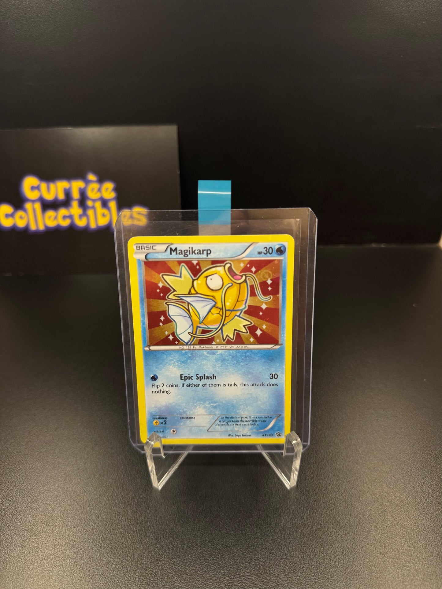 Magikarp - XY
