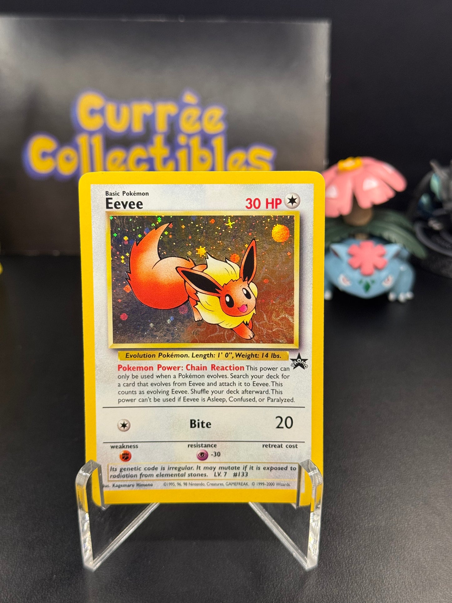 Eevee - WoTC Promo (PR)
