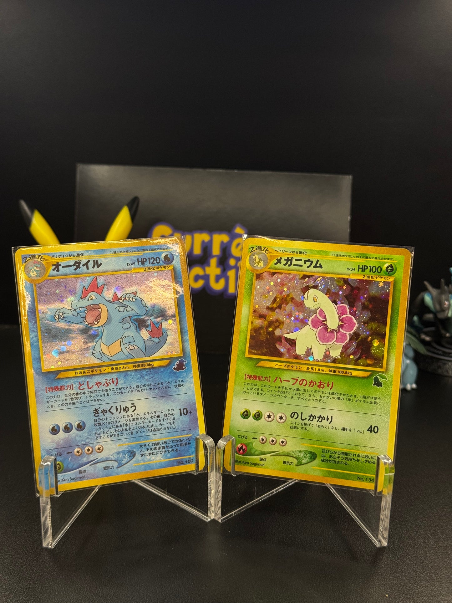 Meganium #154 & Feraligatr #160