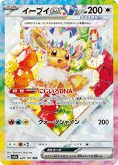 Eevee Ex #224