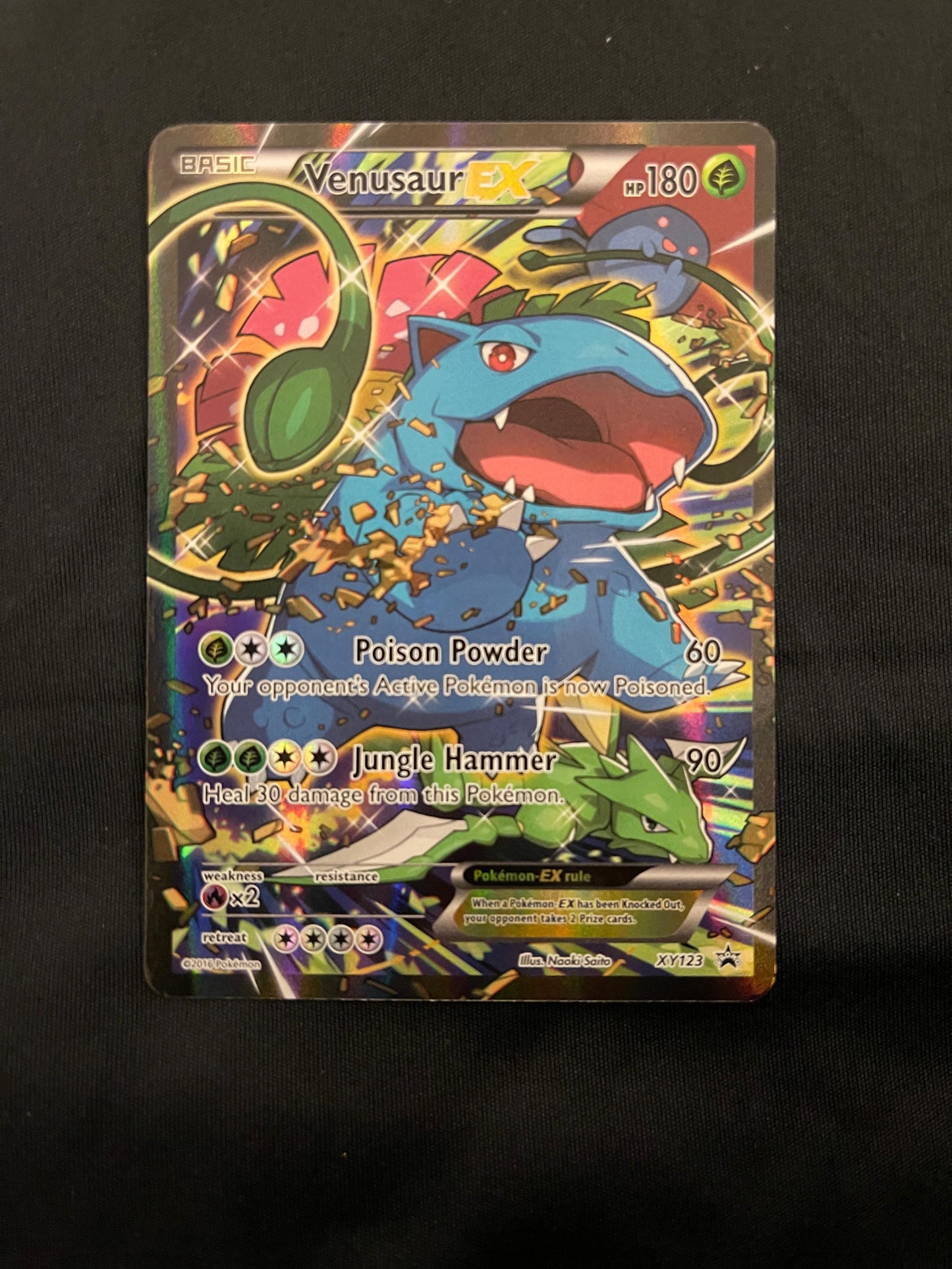 Venusaur EX #XY123