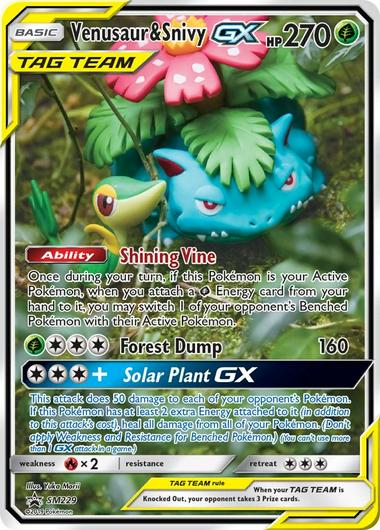 Venusaur & Snivy GX #SM229