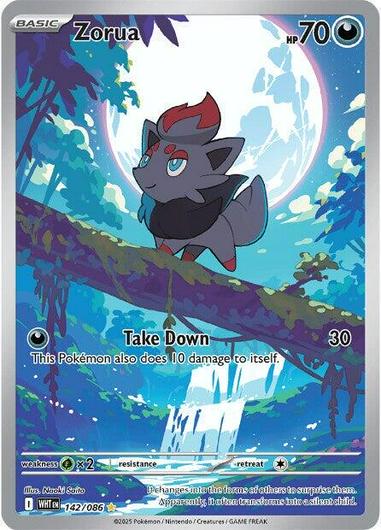 Zorua #142
