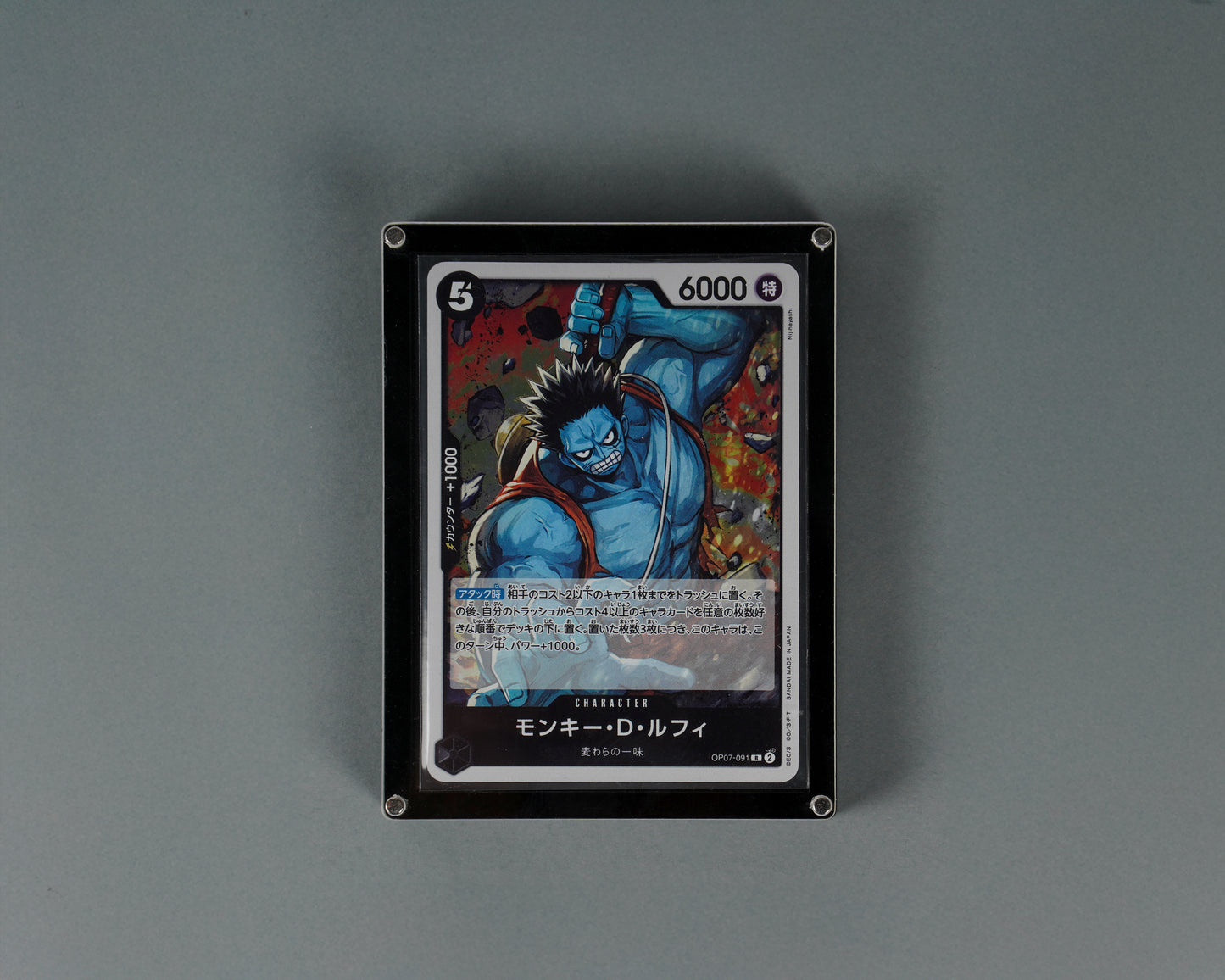 FRIDGE MAGNET DISPLAY