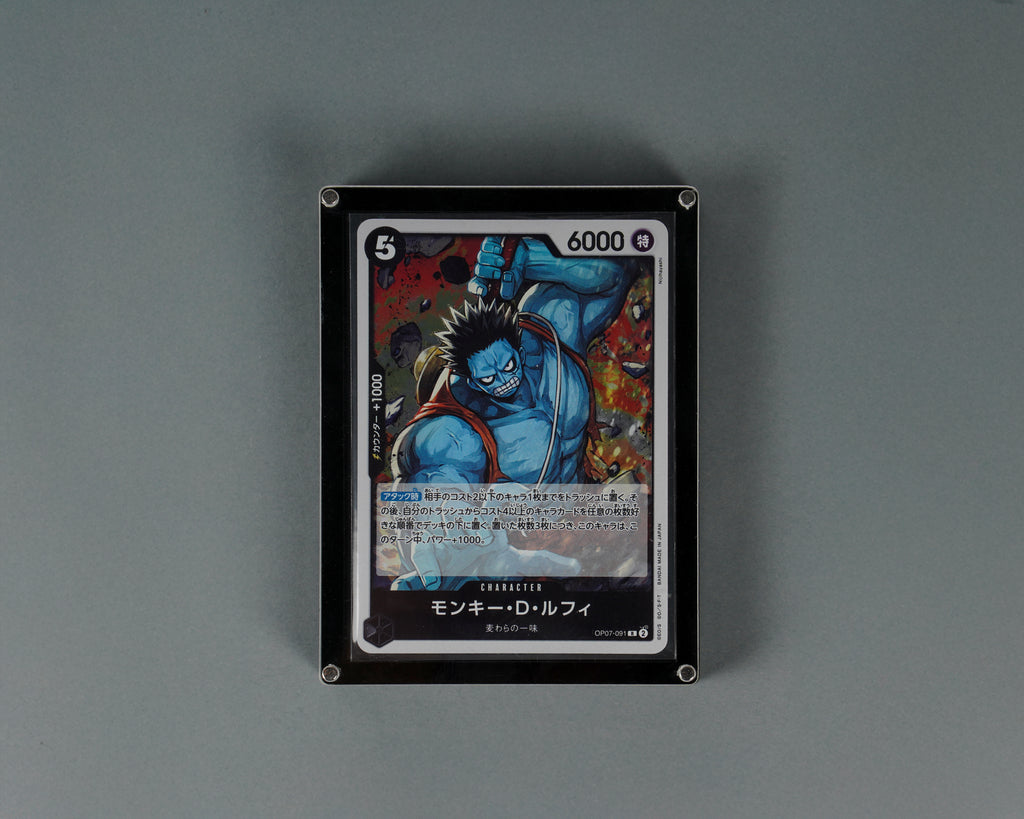 FRIDGE MAGNET DISPLAY