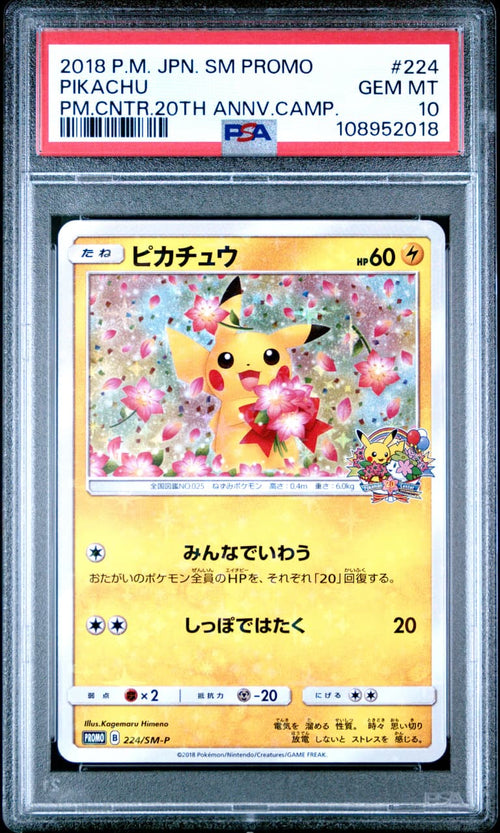 PSA 10 2018 SM 20th Anniversary #224