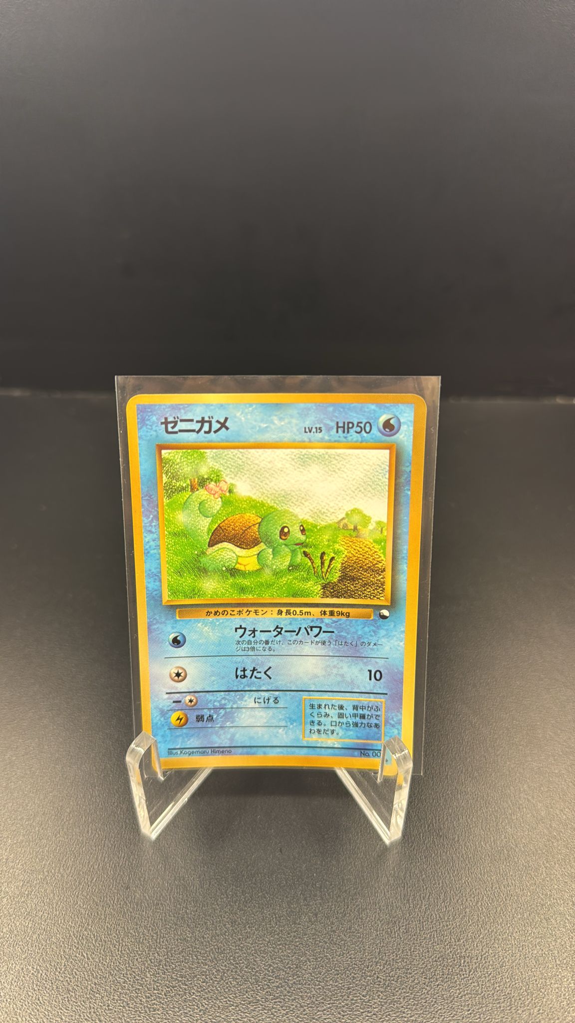 Squirtle [Series 1] #7